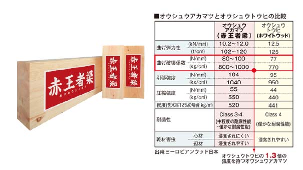 赤王者梁の強度メカニズム